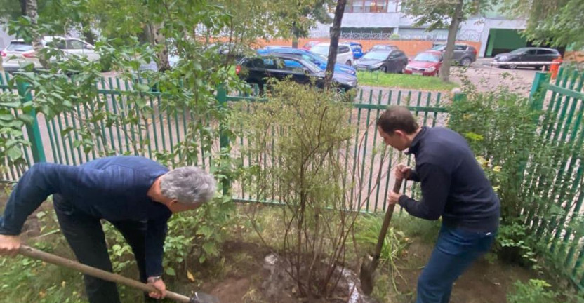 Мосстат принял участие во Всероссийском субботнике «Зеленая Россия»